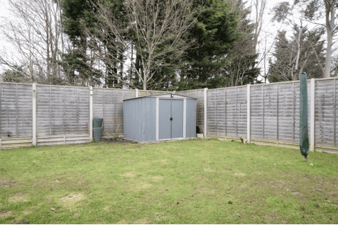 DSC_6131.gif