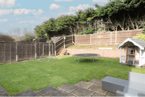 DSC_6418.gif