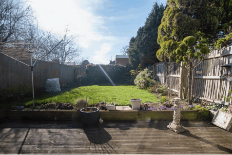 DSC_6641.gif