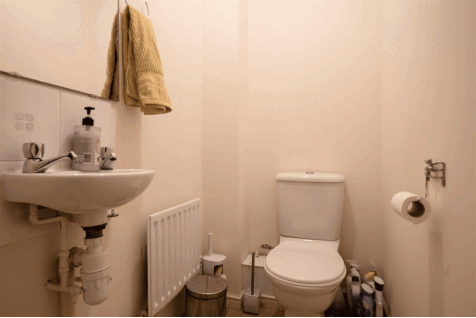 DSC_5509.gif