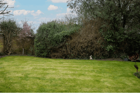 DSC_6785.gif
