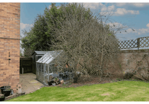 DSC_6783.gif