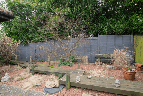 DSC_6772.gif