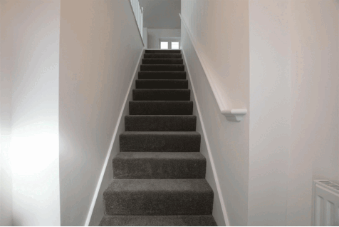 DSC_7073.gif
