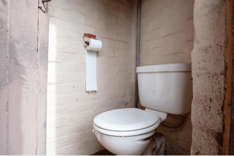 DSC_7096.gif