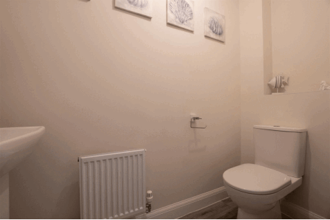 DSC_7666.gif