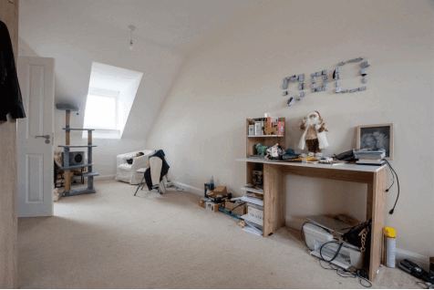 DSC_7676.gif