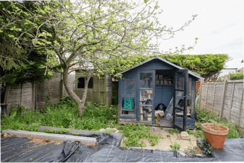 DSC_7761.gif
