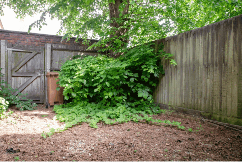 DSC_7952.gif