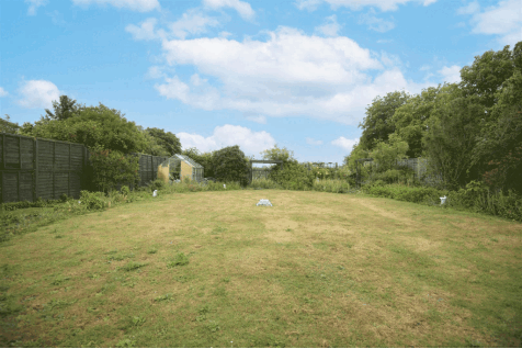 DSC_0079.gif