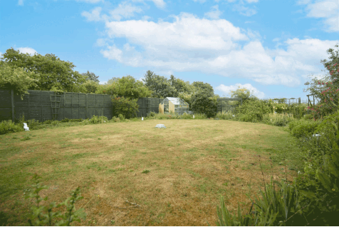DSC_0081-3.gif