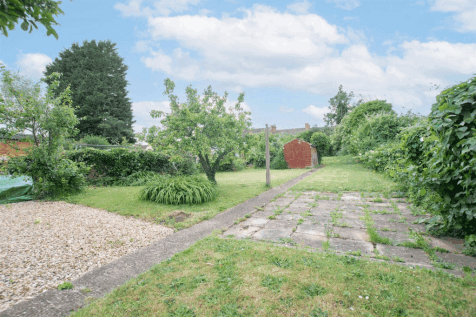 DSC_8105.gif