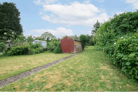 DSC_8107.gif