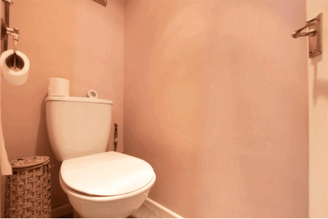 DSC_7161.gif