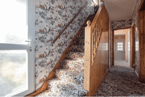 DSC_7178.gif