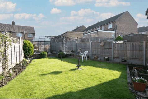 DSC_7190.gif
