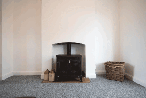 DSC_0381.gif