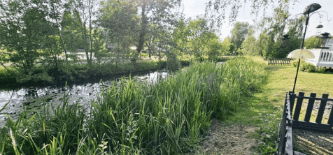 garden4.gif