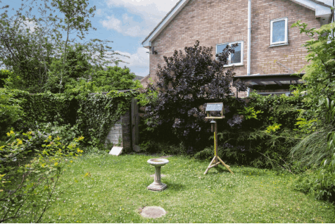 DSC_0680-2.gif