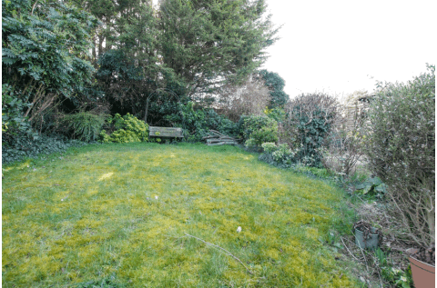 DSC_6929.gif