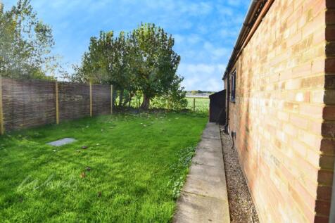 apple tree garden