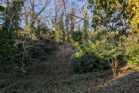Property Image 25
