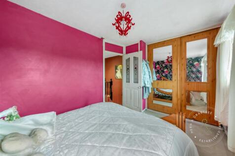 Treetops-Close-02.jpg