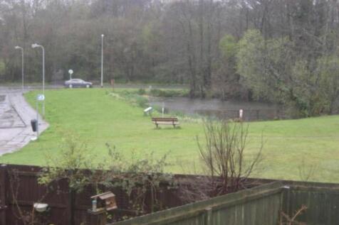 pond v.jpeg