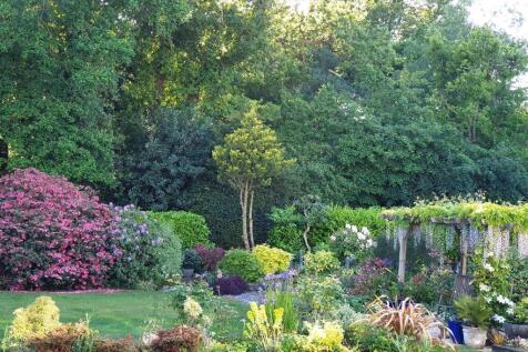 Garden 1.jpg