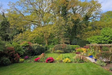 Garden 4.jpg