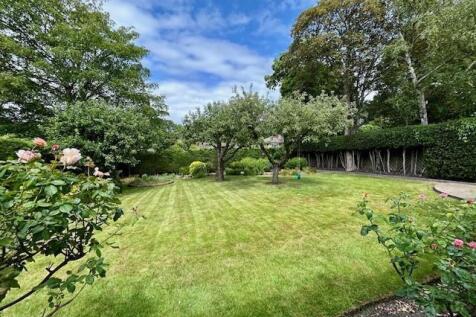 7 Devonshire Drive garden 6.jpg