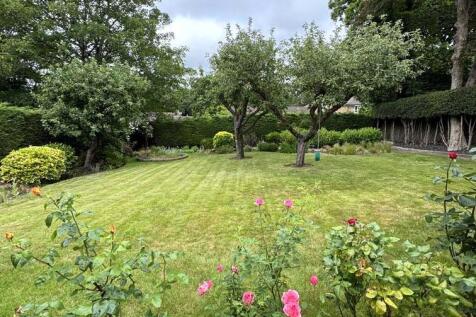 garden.jpg