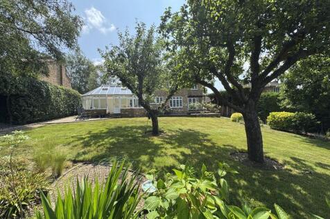 rear garden.jpg