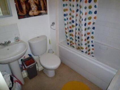 Photograph 7