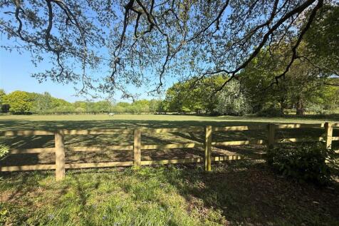 Field View New