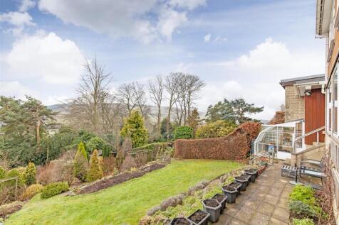 Rear garden 1