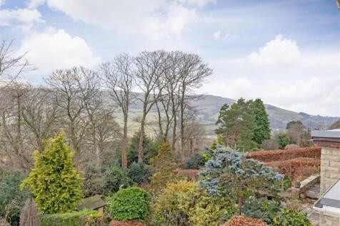 Rear garden 2