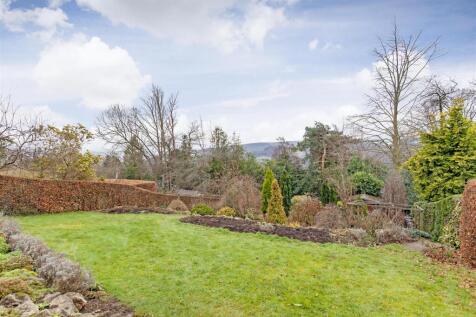 Rear garden 3