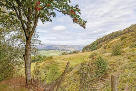 Viewpoint-2.jpg