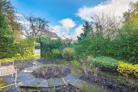 Rose garden