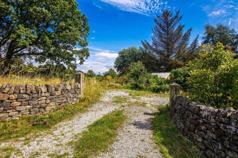 Drive and garden opposite house