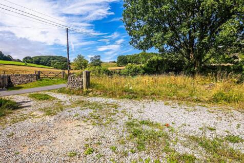 Drive and garden opposite house
