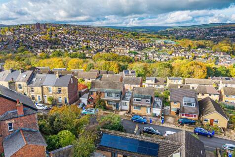 DJI_20251029113212_0550_D copy.jpg