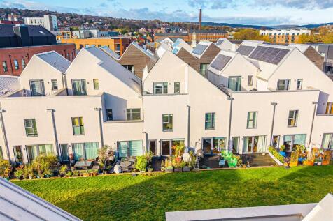 DJI_20251113111547_0032_D copy.jpg