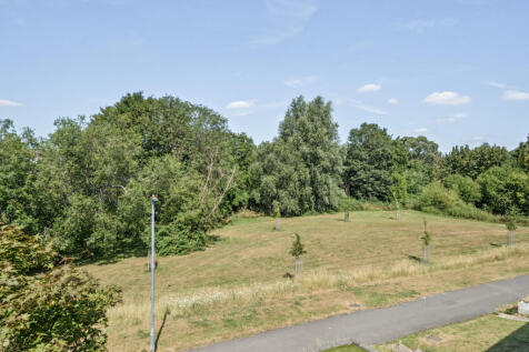 Picture 19