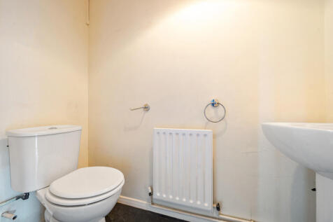 Picture 13