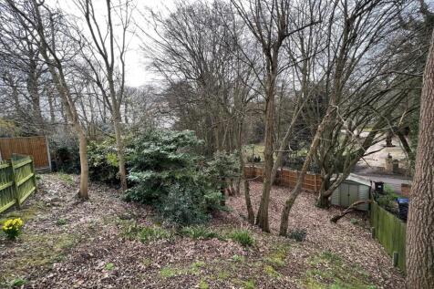 garden2.jpg