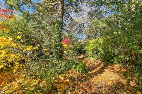 Property Image 39