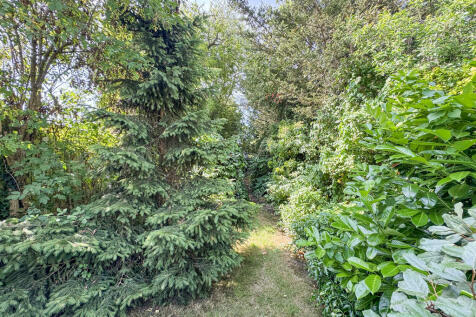 garden back path ...