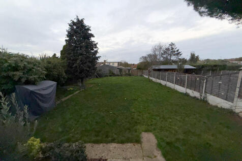 WhatsApp Image 20...